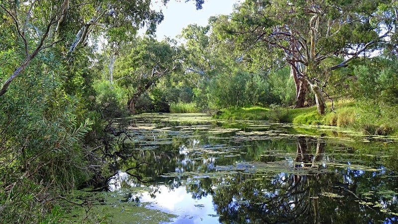 WERRIBEE RIVER